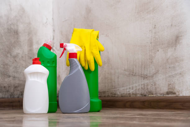 Best Biohazard Mold Removal  in Milton, GA